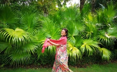 低调总裁二手妻